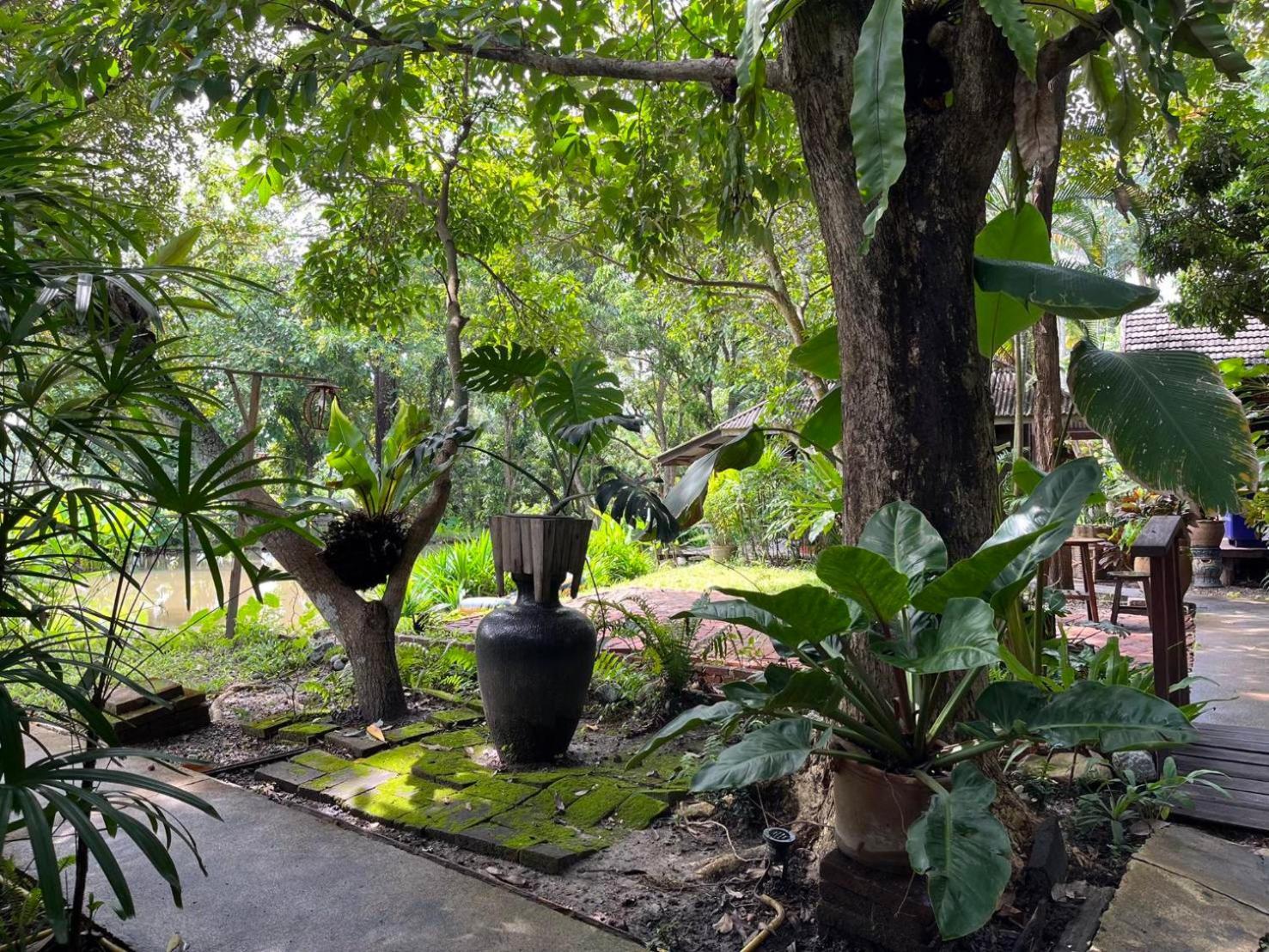 Tongluang Inthanon Homestay โต้งหลวงอินทนนท์โฮมสเตย์ Чомтонг Екстер'єр фото